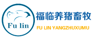 唐营资讯